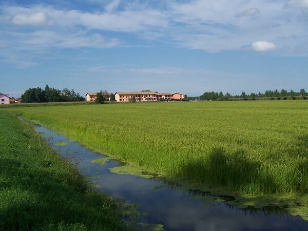 Immagine Bornasco